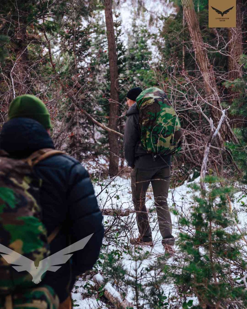 LiteFighter Gear tweet media