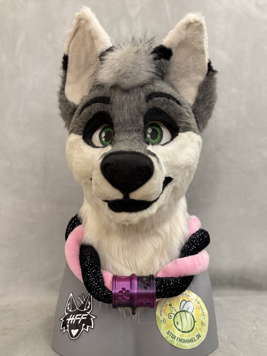 KitsukoFR tweet media