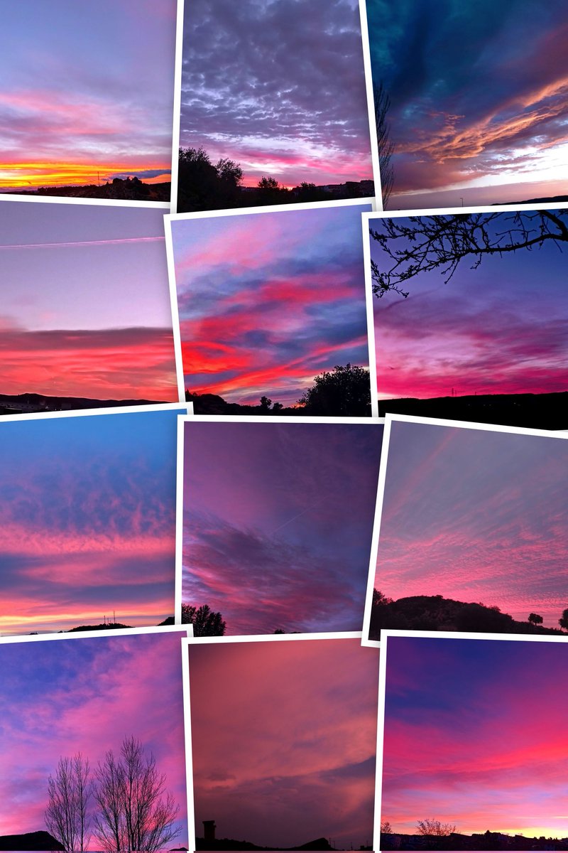 <a href="/canondale01/">angele van steendam</a> <a href="/CoscuLuz/">MariaLuz</a> <a href="/sobrino_antonio/">JOSE ANTONIO SOBRINO</a> <a href="/CROcultura1/">CROcultura</a> <a href="/jjorgepoveda/">Juan Jorge Poveda</a> <a href="/RawsonGladis/">Gladis Rawson</a> <a href="/alma1630/">Altagracia Marte</a> <a href="/enilda25/">Enilda</a> <a href="/campanaubicua/">日 CAMPANA UBICUA</a> <a href="/RUBYELENA1/">🇨🇴Lenita Mija 🇻🇪🇵🇦🇯🇲🇦🇷🇵🇪🇪🇦🇺🇲</a> <a href="/MNievesSanchez1/">MNieves Sanchez 🌼⛅🌞🌛🌈📸</a> <a href="/bartu1962/">joan bartoli ventura</a> <a href="/Mainiva1/">Isa Nicasio</a> <a href="/Rosampl2/">Rosampl</a> <a href="/AnneEventsCo/">Anne Hill</a> <a href="/mixpelirroja/">mixpelirroja 🍉</a> <a href="/royo1_royo/">M. Royo 🖤🇧🇪🇳🇱#NoSurrender #JoAcuso</a> <a href="/adri_gothic/">Adri Gothic</a> <a href="/Montser40317871/">Montserrat 🌹💛🌹💛🌹🎗️🇧🇪</a> <a href="/Altafaja1P/">Lunia17 #NoSurrender/no llistes</a> <a href="/JCDAtrasto/">Joaquin Atrasto © 🟥🟨🟪</a> <a href="/margaquiros/">Margarita Quirós</a> <a href="/SandraMridafer1/">Zaida</a> <a href="/Luu_lu/">Luciana Luz 💫ⓟ🐷♻🚴</a> <a href="/JCRadophoto/">JCRadophoto</a> <a href="/OrfiliaCar77890/">Orfilia Cardona</a> <a href="/senyuanzhou7/">Entre Flores y Plantas</a> <a href="/PlantitaG/">Plantita Girl</a> <a href="/aazagra/">Alicia Azagra</a> <a href="/sita507562591/">carmen martinez</a> <a href="/PlanellsPuig/">Silvia Puig Planells</a> <a href="/JBHConcepcion/">Jardín Botánico La Concepción Málaga</a> <a href="/anamaria190977/">Ana María Herrero</a> <a href="/AquilaNatura/">AQUILA Naturaleza</a> <a href="/RJBOTANICO/">REAL JARDÍN BOTÁNICO</a> Tenemos unos atardeceres espectaculares! #atardeceresmagicos