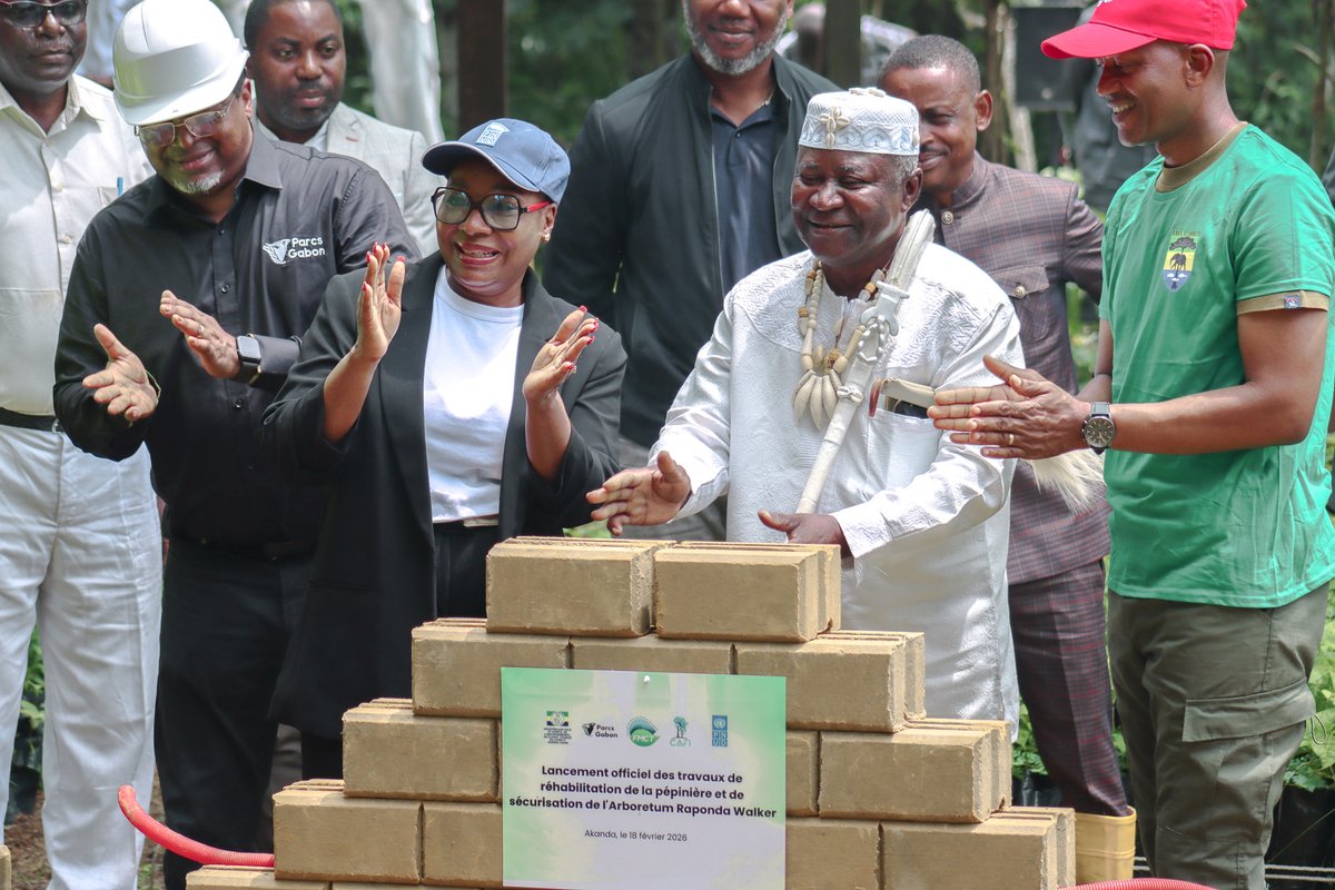 PNUD GABON tweet media