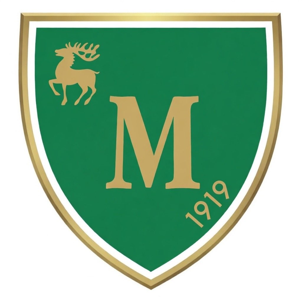 Joel Perovuo tweet media