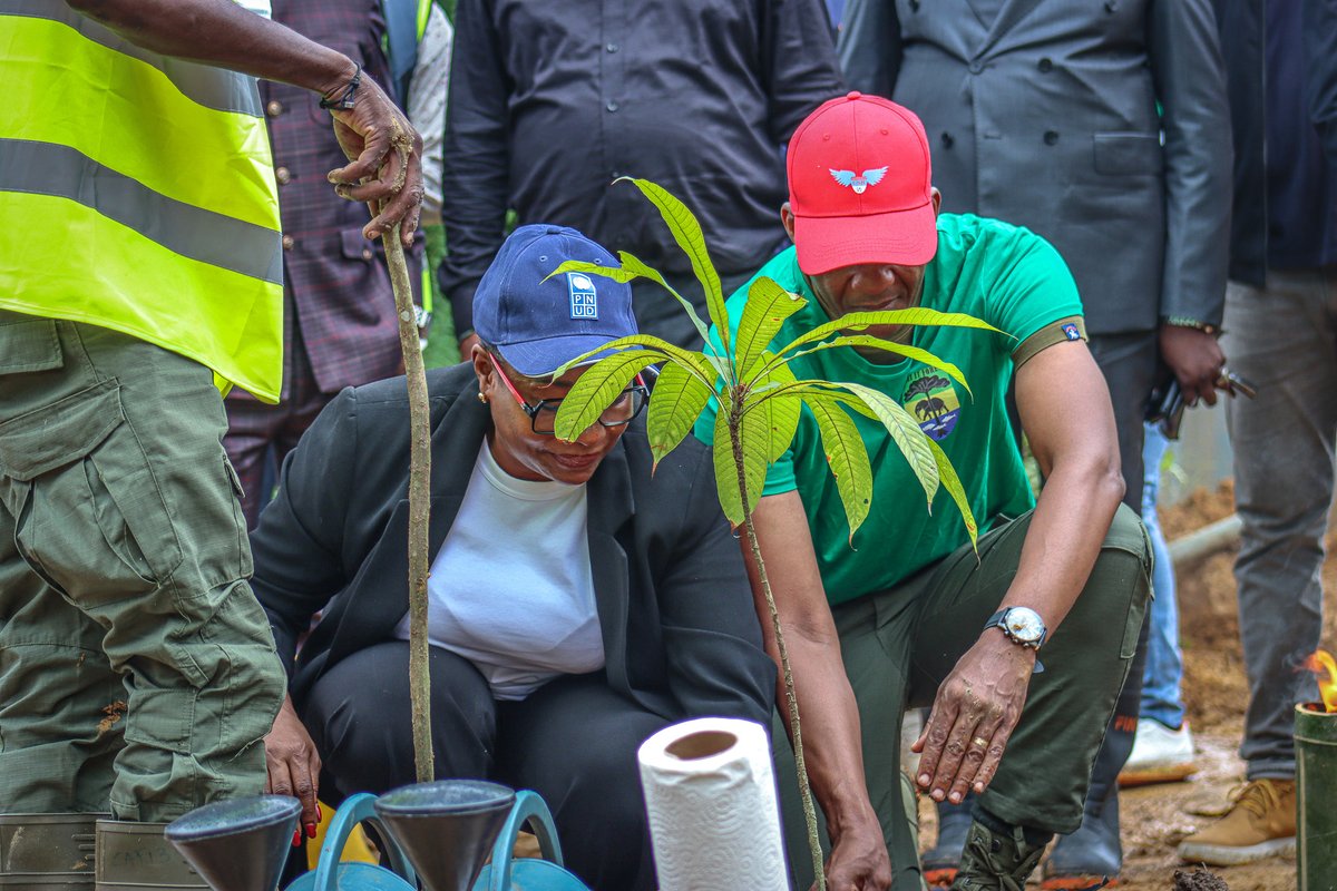 PNUD GABON tweet media