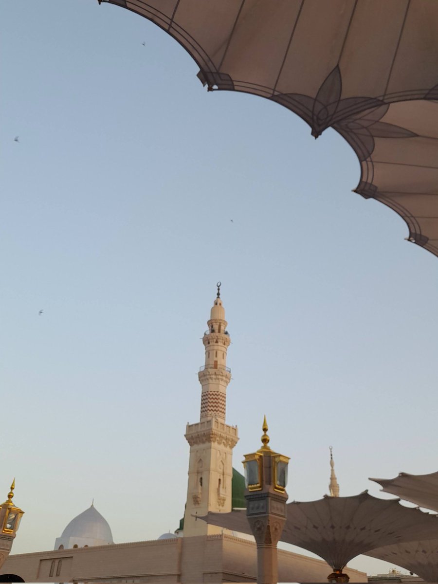 syifd06's tweet photo. Ketika foto ngasal tapi di Madinah https://t.co/pn8jLQyY9z