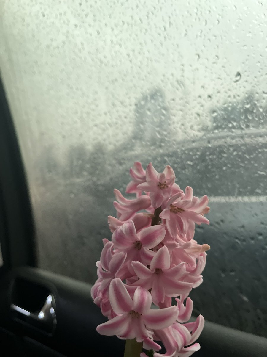 öyle aniden,güzellikle ve 
kendiliğinden.”