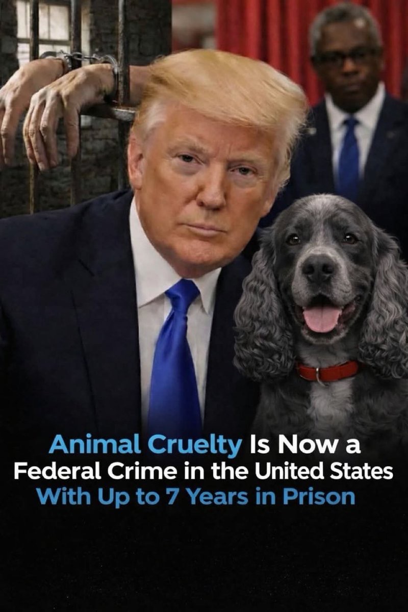 Do you support President Trump's attempt to protect animals from cruelty ? 🐶🥰😸

a. Hell Yes
b. No 
c. Why wasn't it a crime before ? 🤬