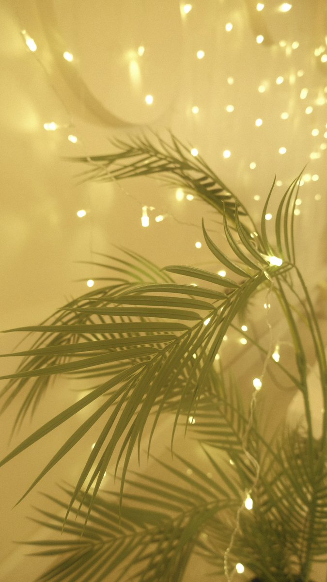 خالد العامري khalid alameri tweet media