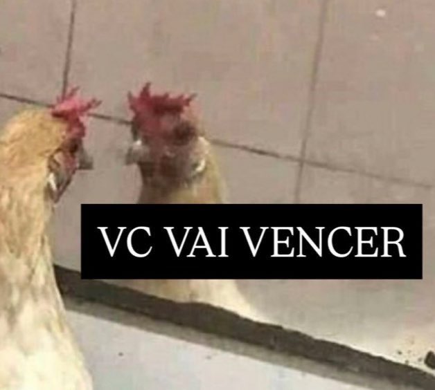 andr_blogueiro's tweet photo. vencer na vida através dos estudos, está sendo a maior presepada que já inventei https://t.co/Ir2jm1DWUy
