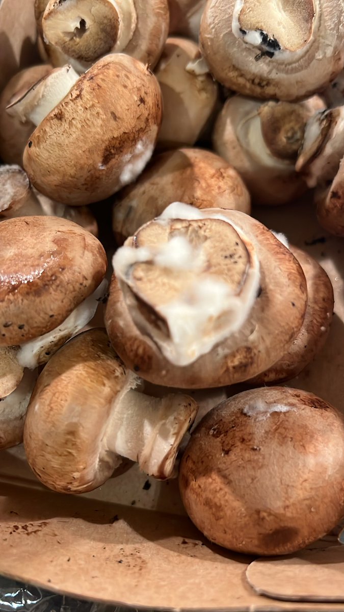 Alison Boardman tweet media