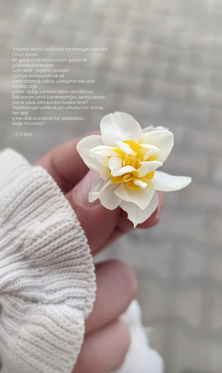 Öyle büyük umutlarım olmadı benim, büyük düşlerim, 
özlemlerim, büyük beklentilerim olmadı. Koşullarım beni 
oluşturdu ben acılarımı buldum. 

- Ş. Erbaş