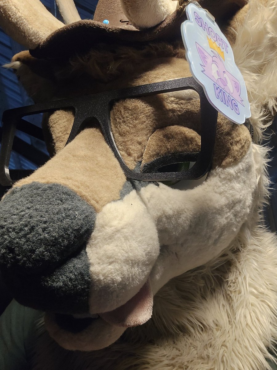 🦌Vix The Caribou🦌 tweet media