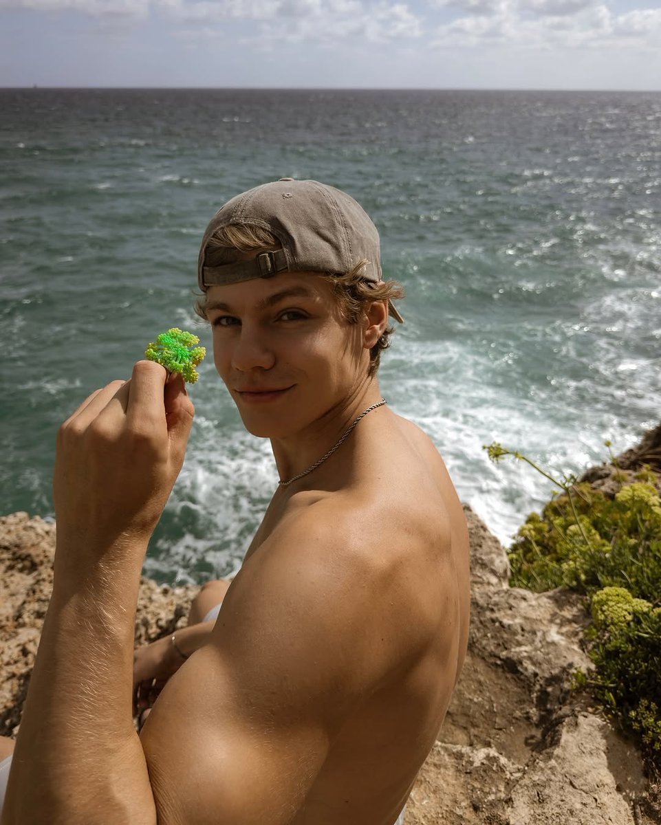 Ted Tonks tweet media