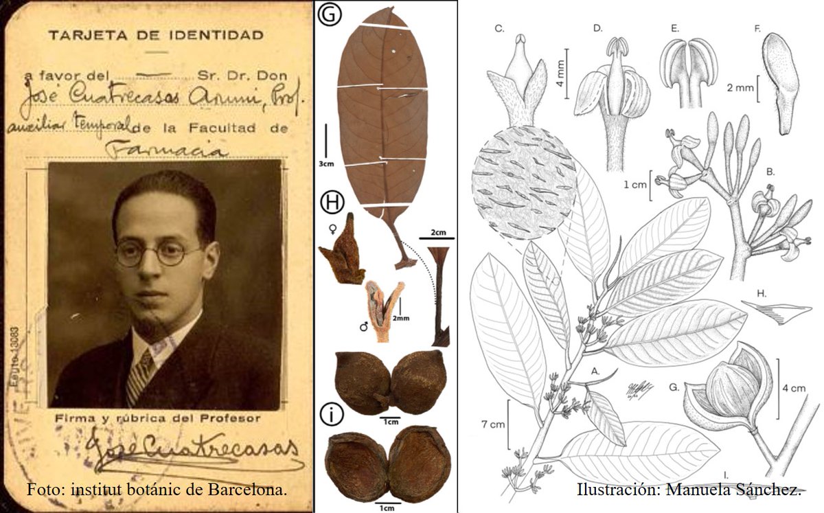 Novatax_Col tweet media