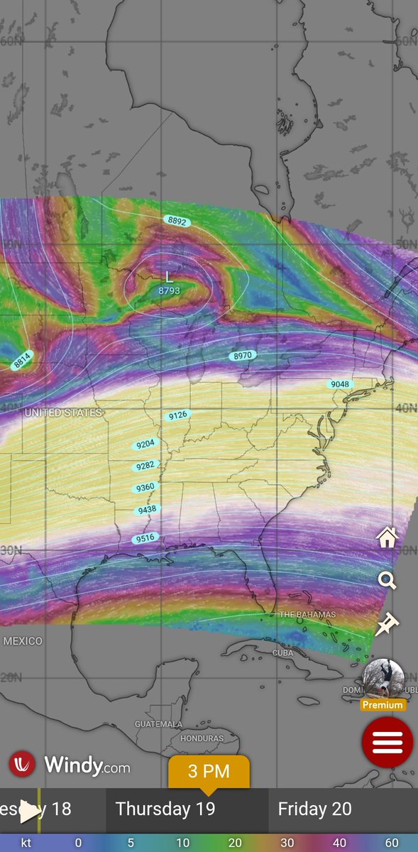 Timothy Ponepal tweet media