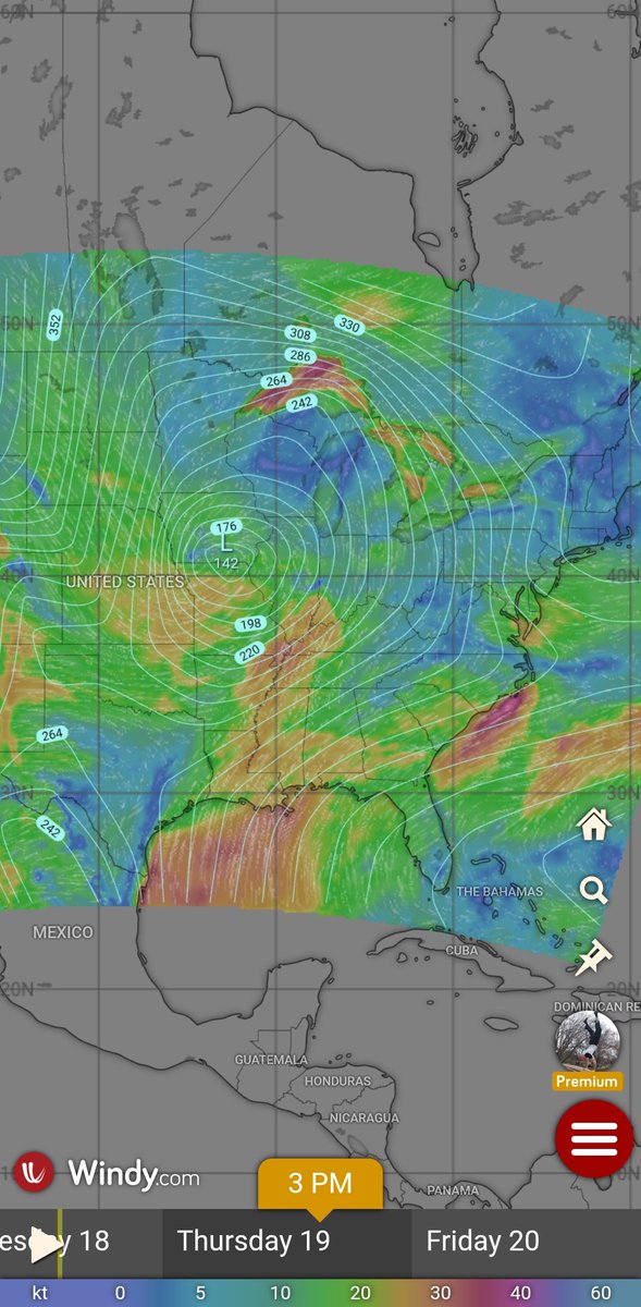 Timothy Ponepal tweet media