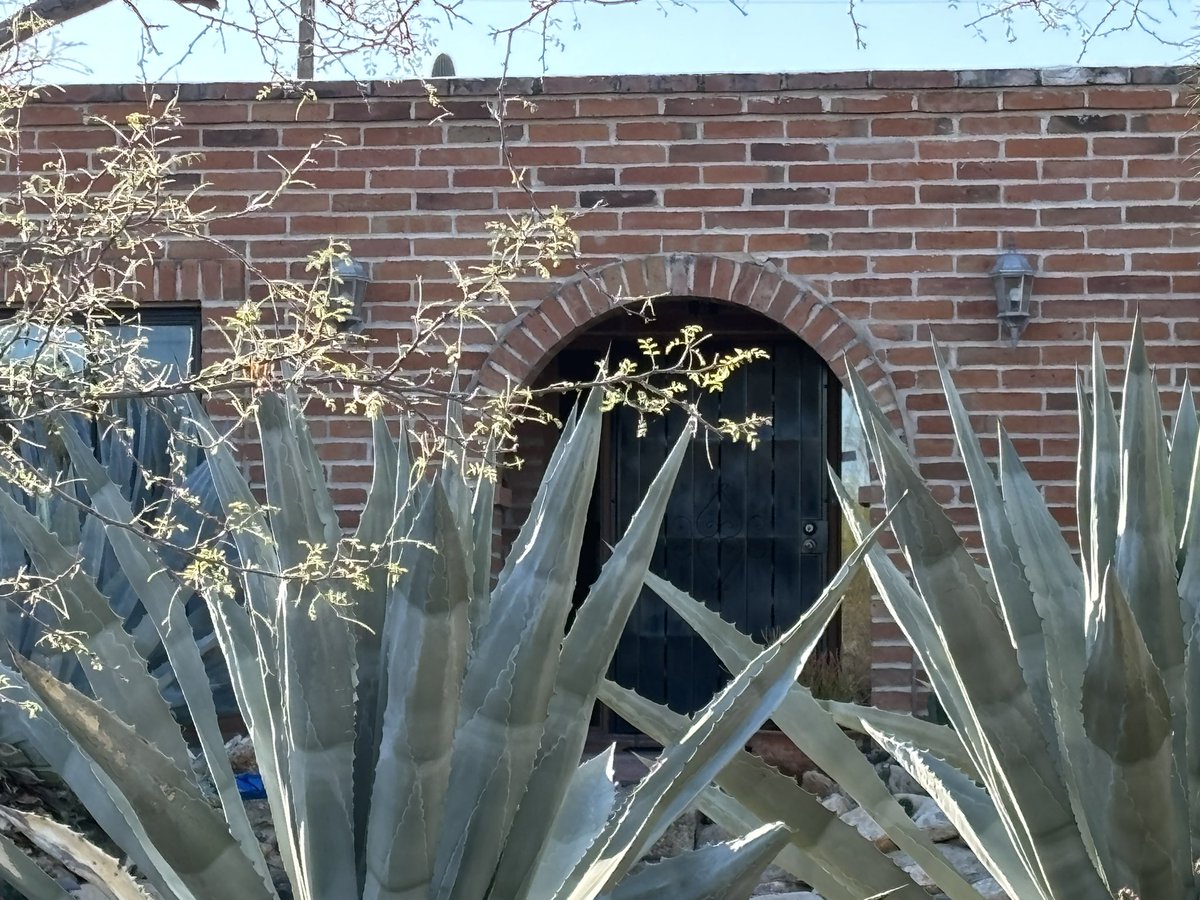 🗞️Someone searched for Nancy Guthrie's address and her famous daughter's salary before the 'Today' host's mother vanished, Google data shows. 

It’s not clear that the searches are connected to one another or to her suspected abduction. 

But the timing of one search, Jan. 11,