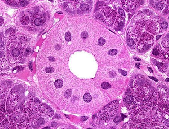 Medzonetv tweet media