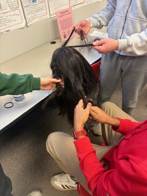 Lisa Van Curen tweet media