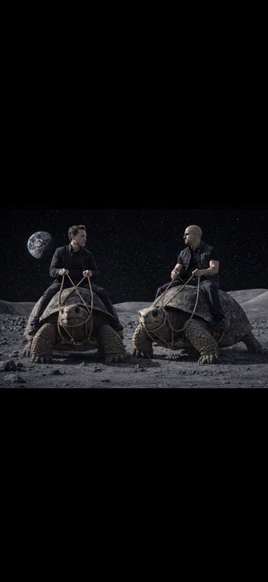 Erik Crypto🤕 (@ErikTorger6265) / Posts / X