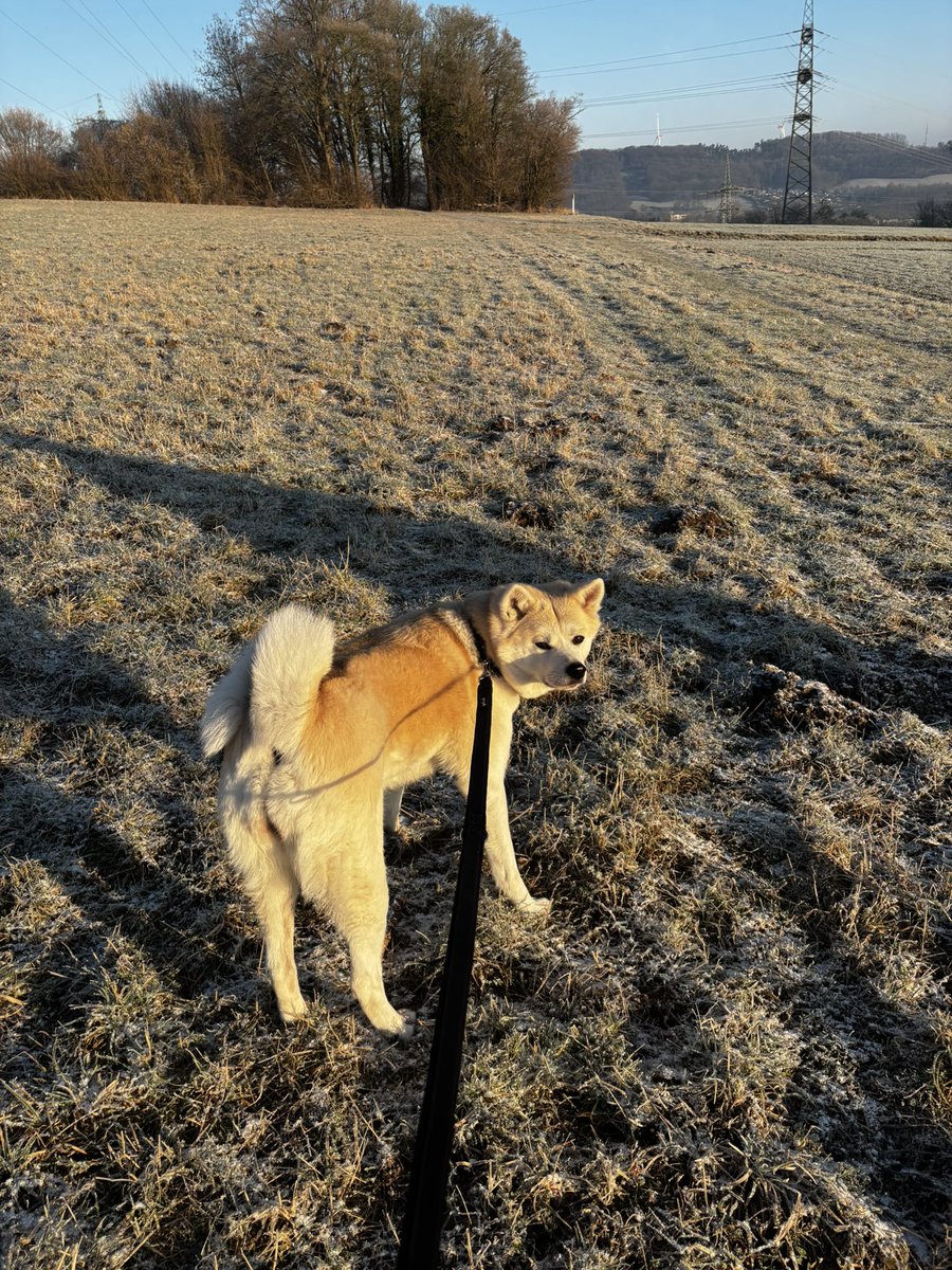 Brigitte tweet media