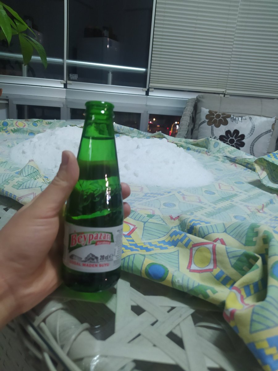 Yaşam kitim poz ver