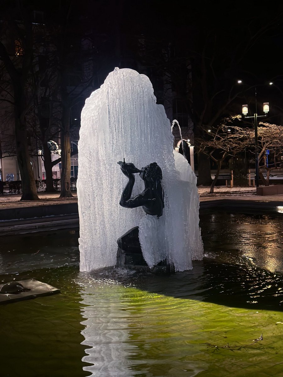 Limin Carnation 🦋 tweet media