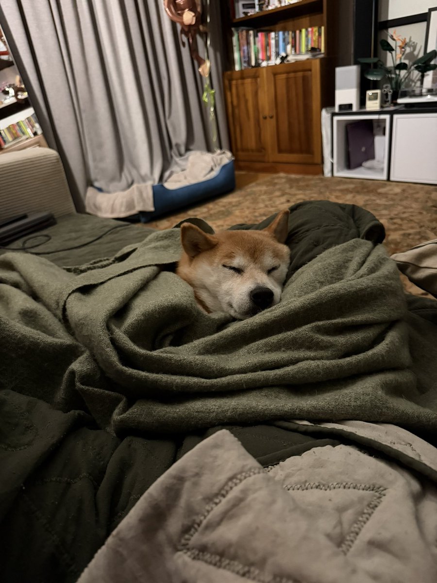 наталя tweet media