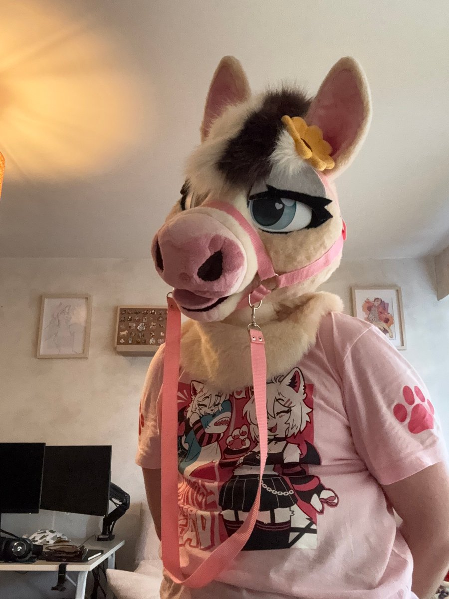 KitsukoFR tweet media