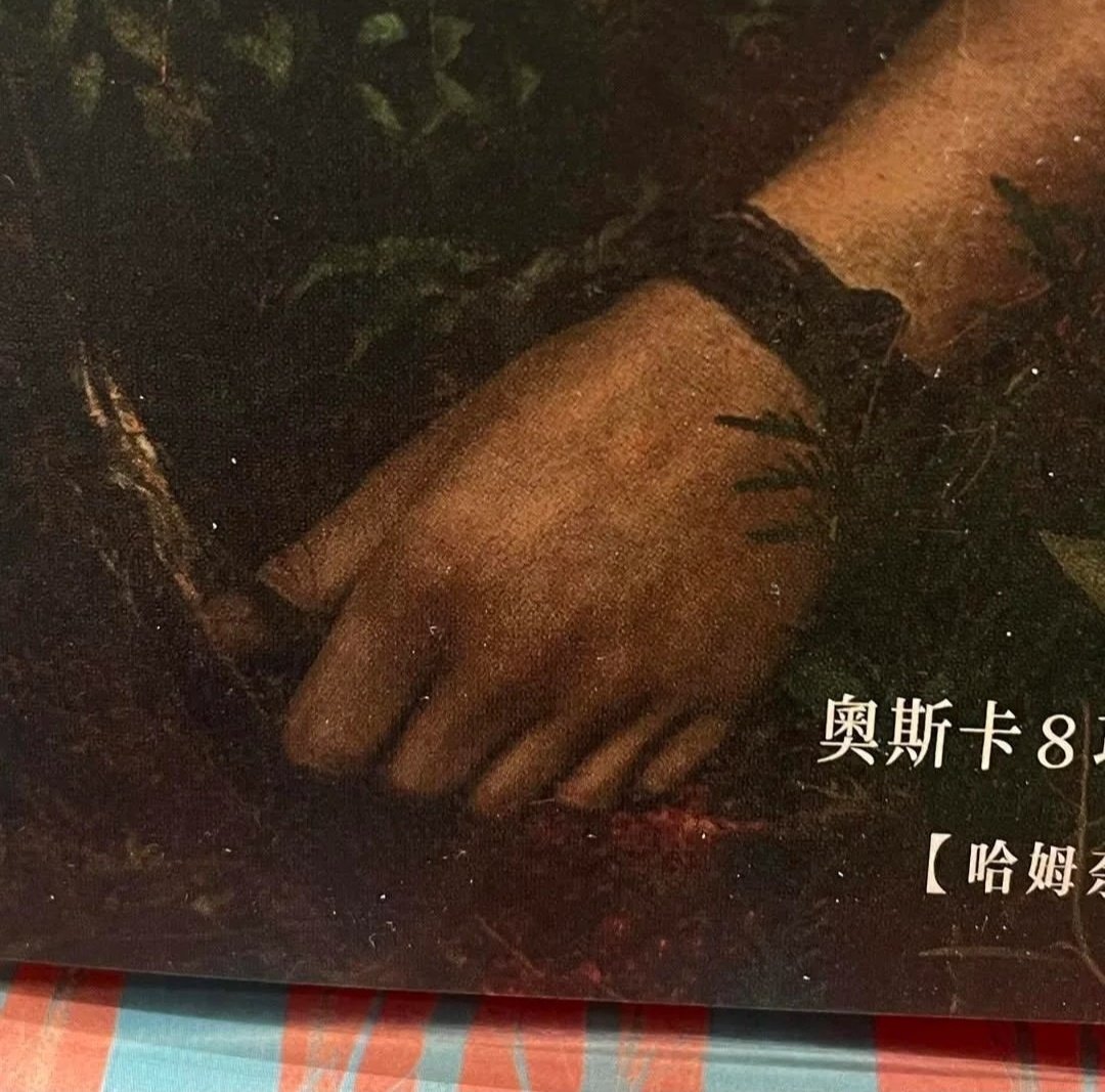 A random HAMNET book now using AI......

Was it really that hard to just copy the movie poster?