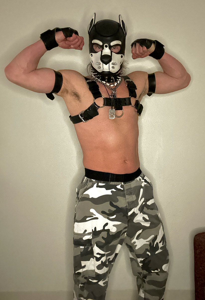 PupJedi (2k) tweet media