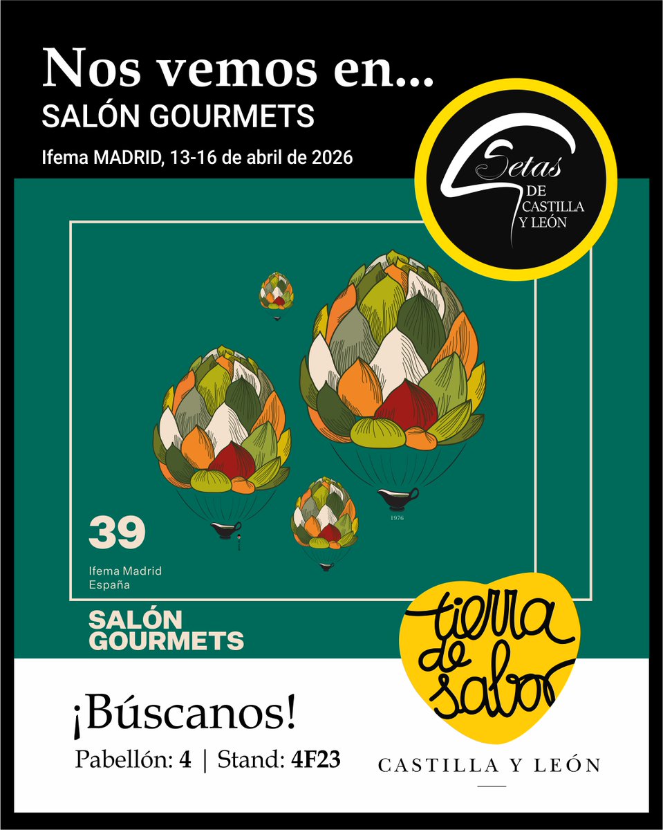 MG Setas de CyL tweet media