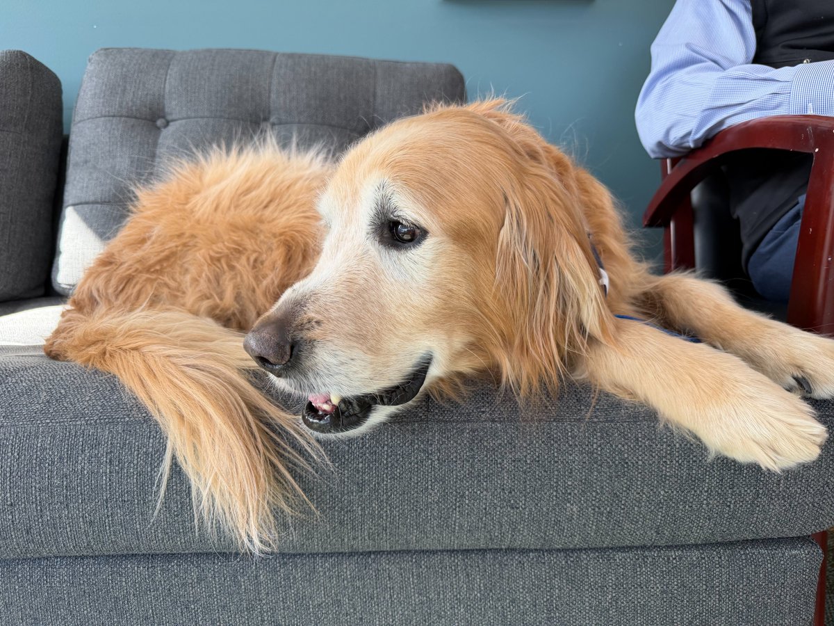 CU Anschutz Department of Anesthesiology tweet media