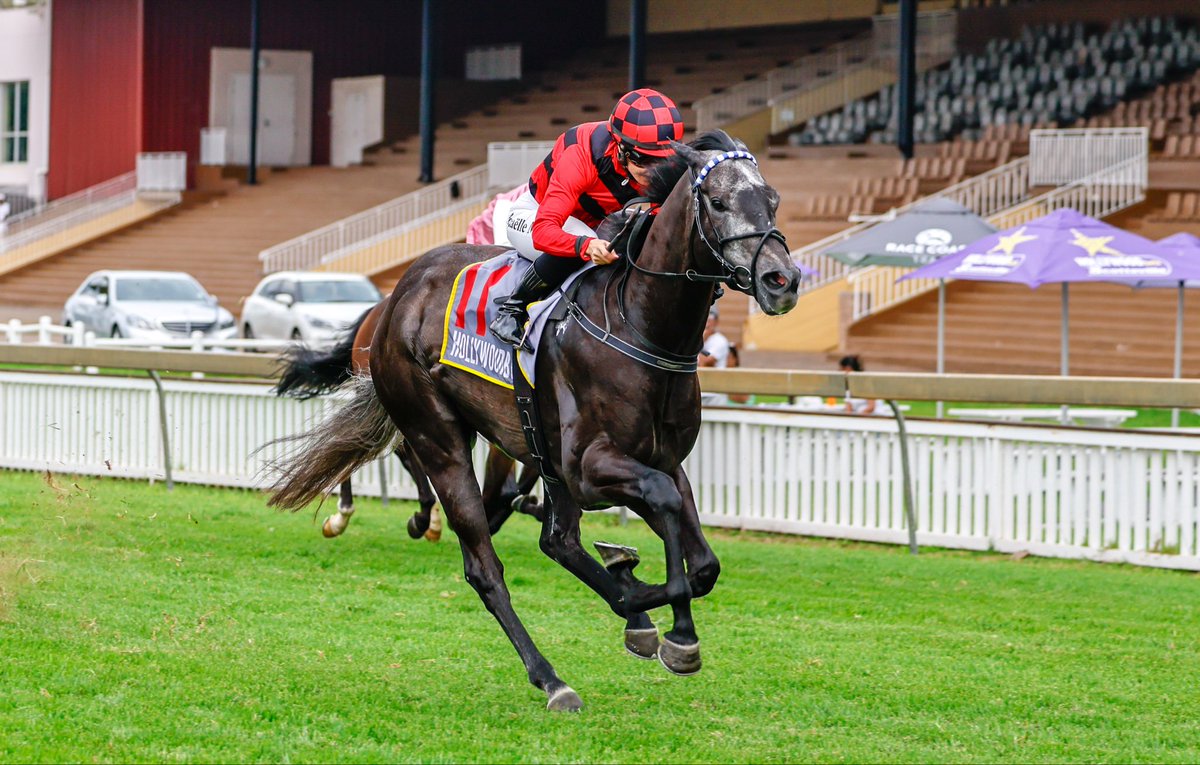 Mickaëlle Michel - ミカエルミシェル tweet media