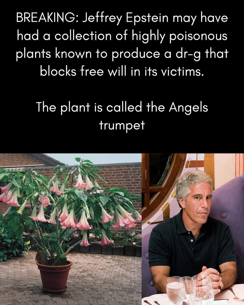 🤔🤔👇