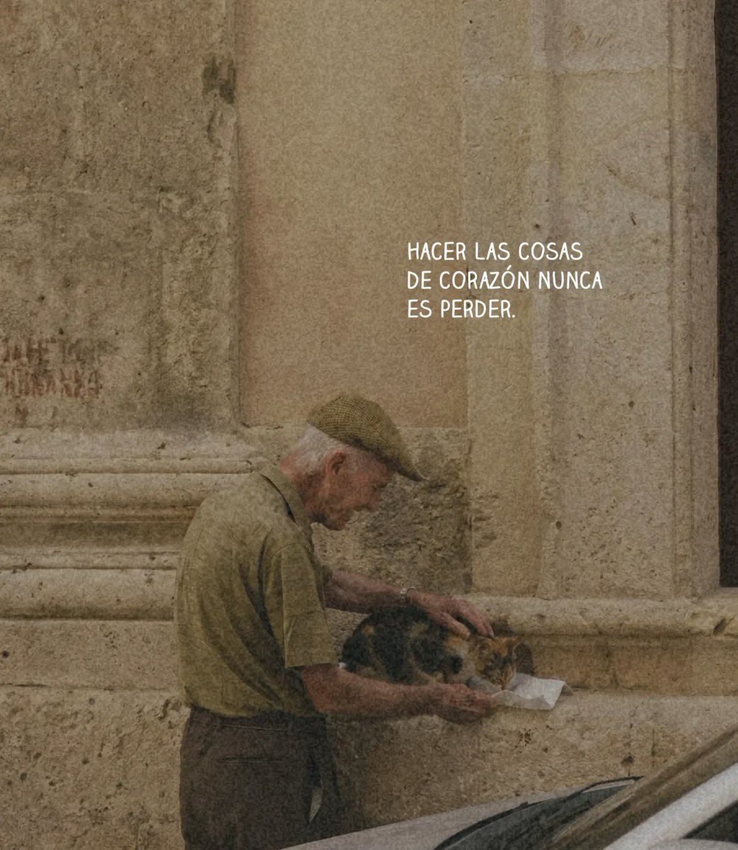 Dilo con dibujos tweet media