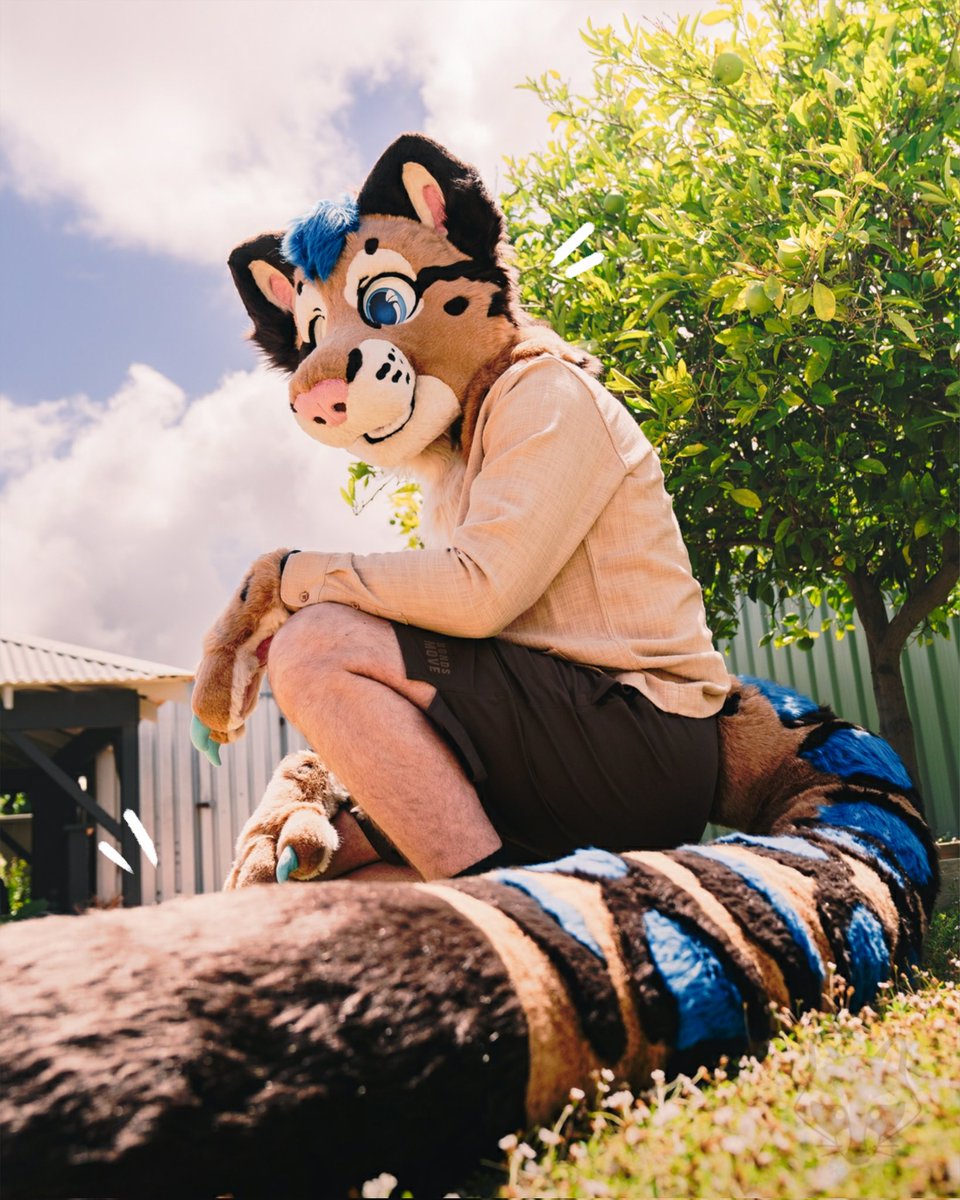 RecklessRaccoonStudios tweet media