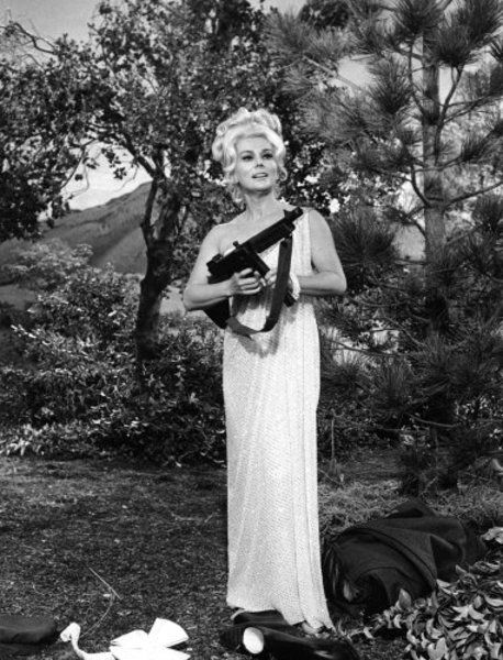 Mark Bski🇺🇸Ruggedly Individualistic 🐶 olllllllo tweet media