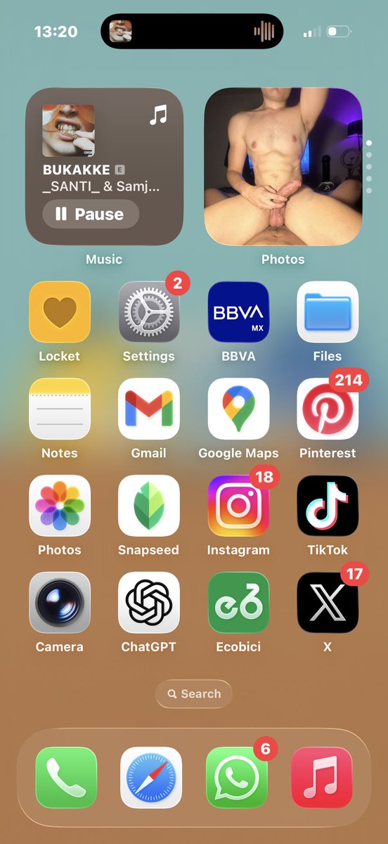 Not my home screen exposing me 🤭 Unlocking my Phone is a dangerous game 😈