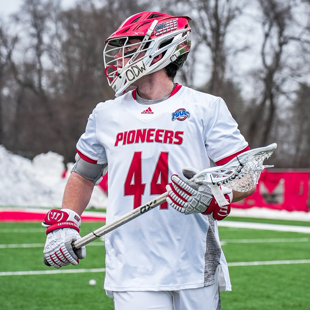 TLN 🥍 tweet media