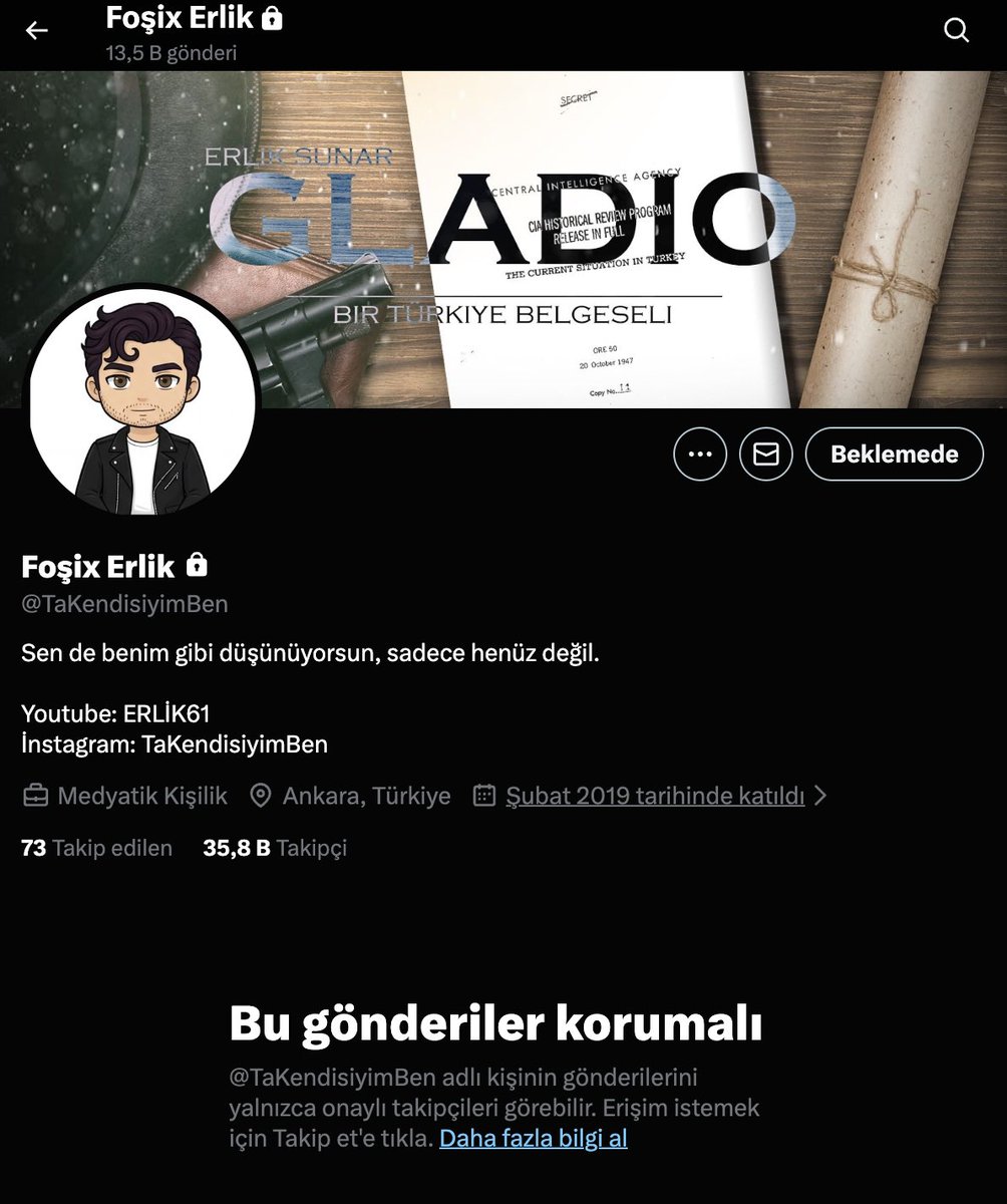 domişko tweet media