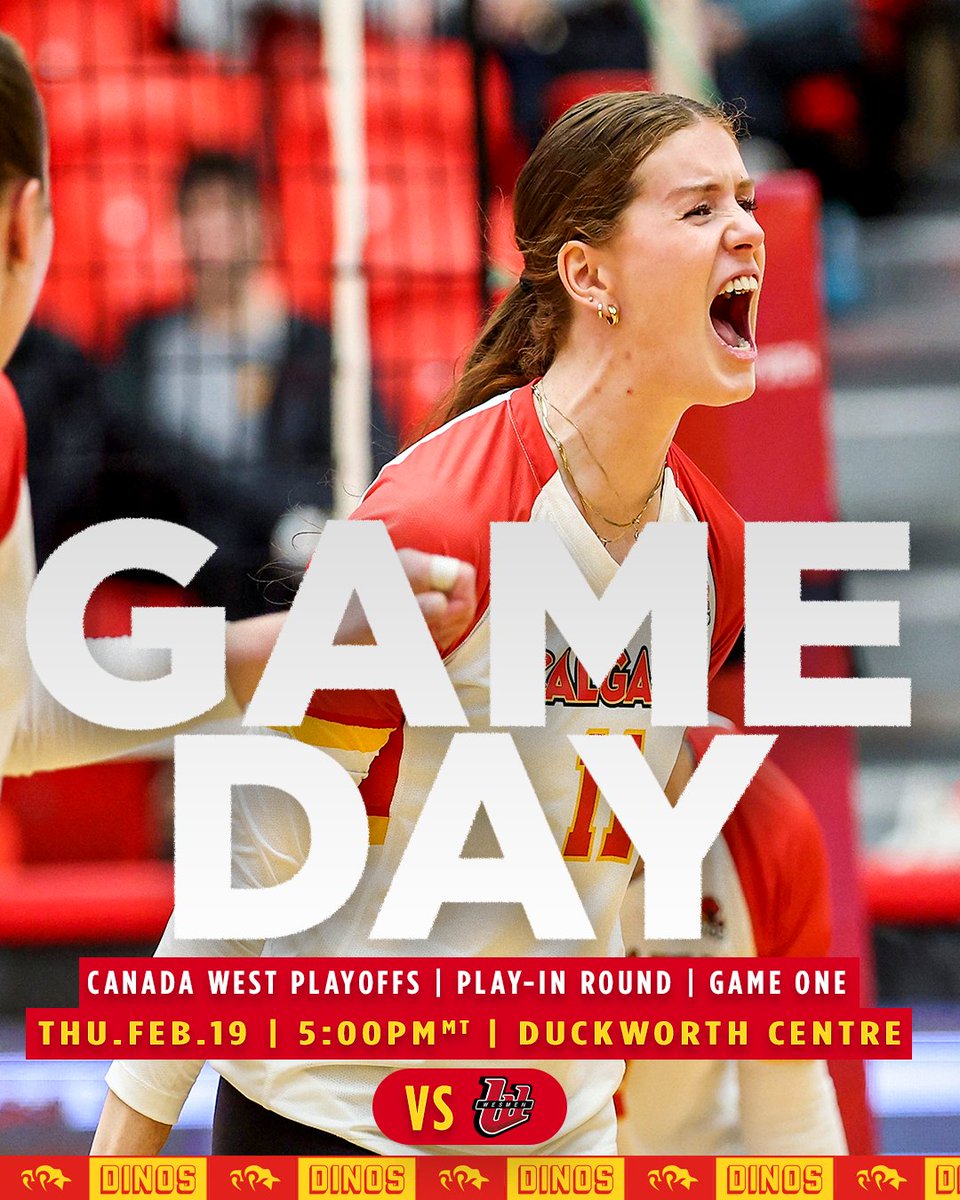 UCalgary Dinos Women's Volleyball 🏐 tweet media