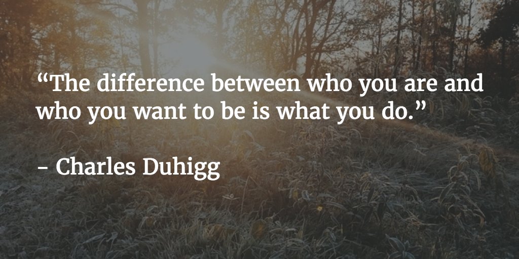 Harry Che tweet media