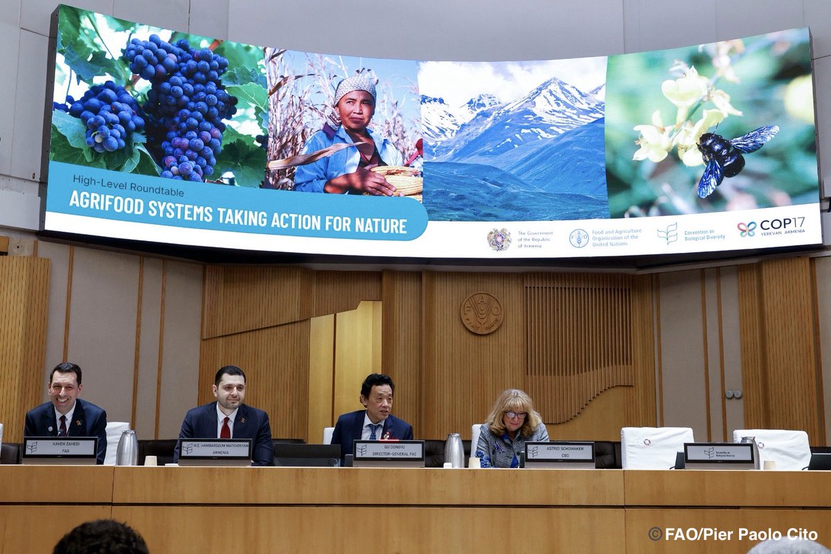 FAO Director-General QU Dongyu tweet media