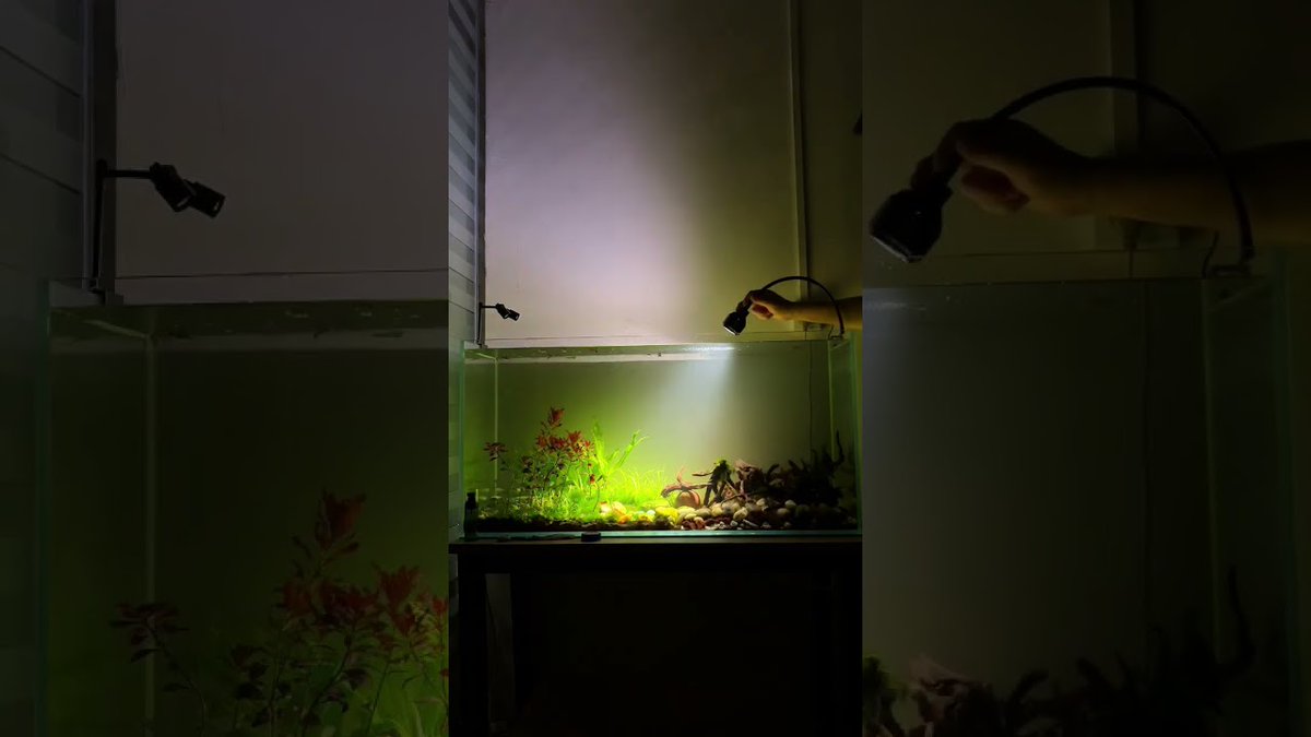 FlakeFood's tweet image. Aquariums: Aquarium lights with adjustable aperture. #aquarium #aquariumlight #fishtanklight
 
flakefood.com/836449/aquariu…
