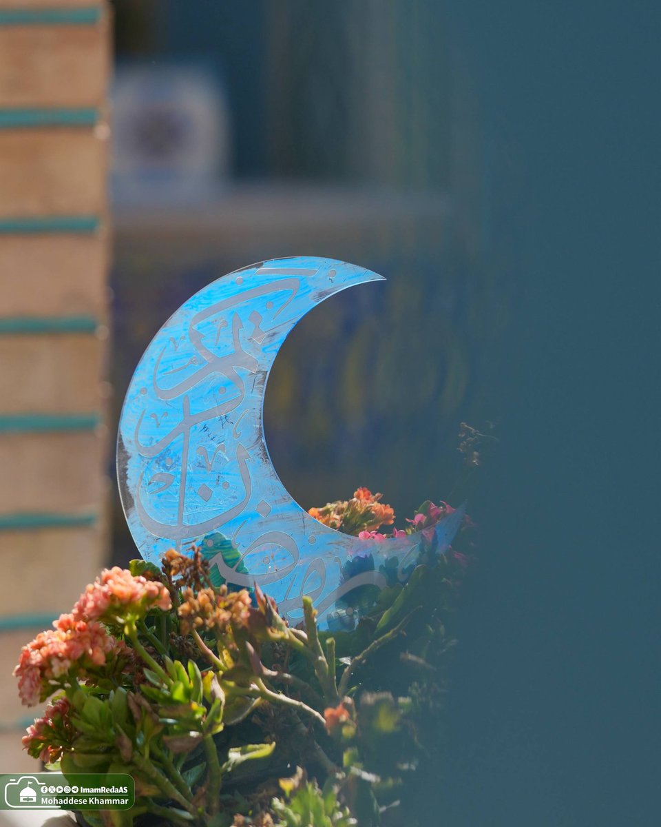 لقد هلّ شهر الصيام الكريم
فأهلًا بشهر الإله الرحيم ✨

يطلّ علينا بخيرٍ وفير
ونحظى بعفوٍ وأجرٍ عظيم ✨

💐 نهنّئ مولانا صاحب العصر والزمان عجّل الله فرجه الشريف ومراجعنا الكرام والأمة الإسلامية، بحلول شهر رمضان المبارك، سائلين المولى عز وجل أن يوفقنا لصيامه وقيامه والفوز بالجنة