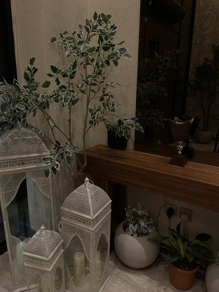 اللهم اجعل رمضان هذا العام نقطة تحول في حياتنا يارب اجعله بداية رزق وسعادة ورضا وتوفيق يارب حقق لنا كل مانتمنى🌙