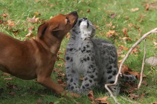 Sneplover45 tweet media