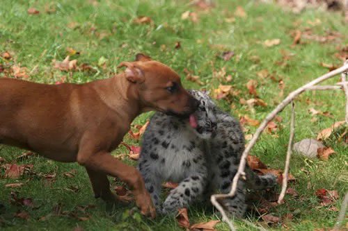 Sneplover45 tweet media