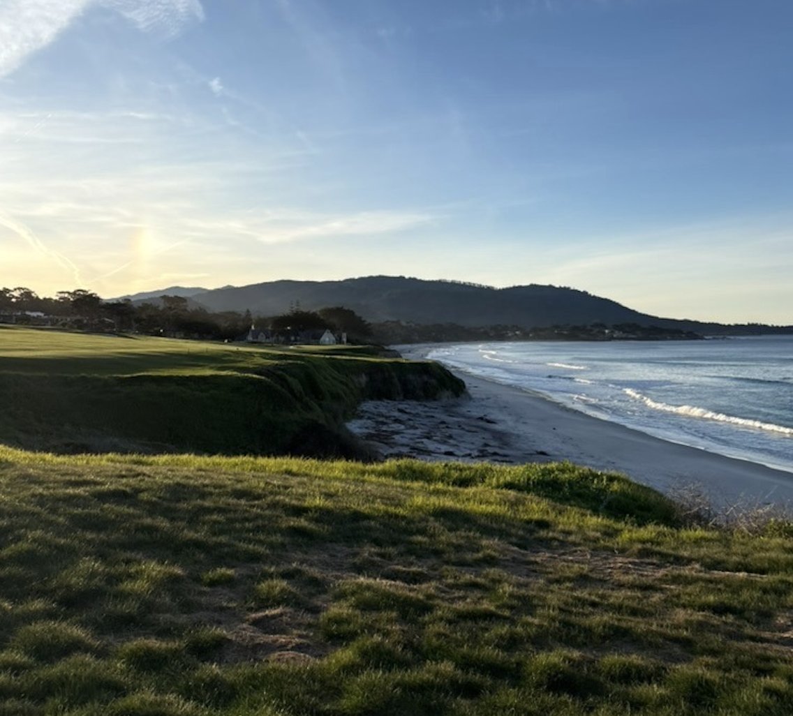 Cornell Turfgrass tweet media