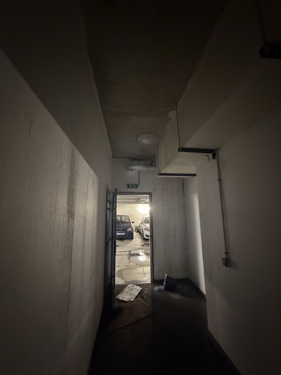 supersush111 tweet media