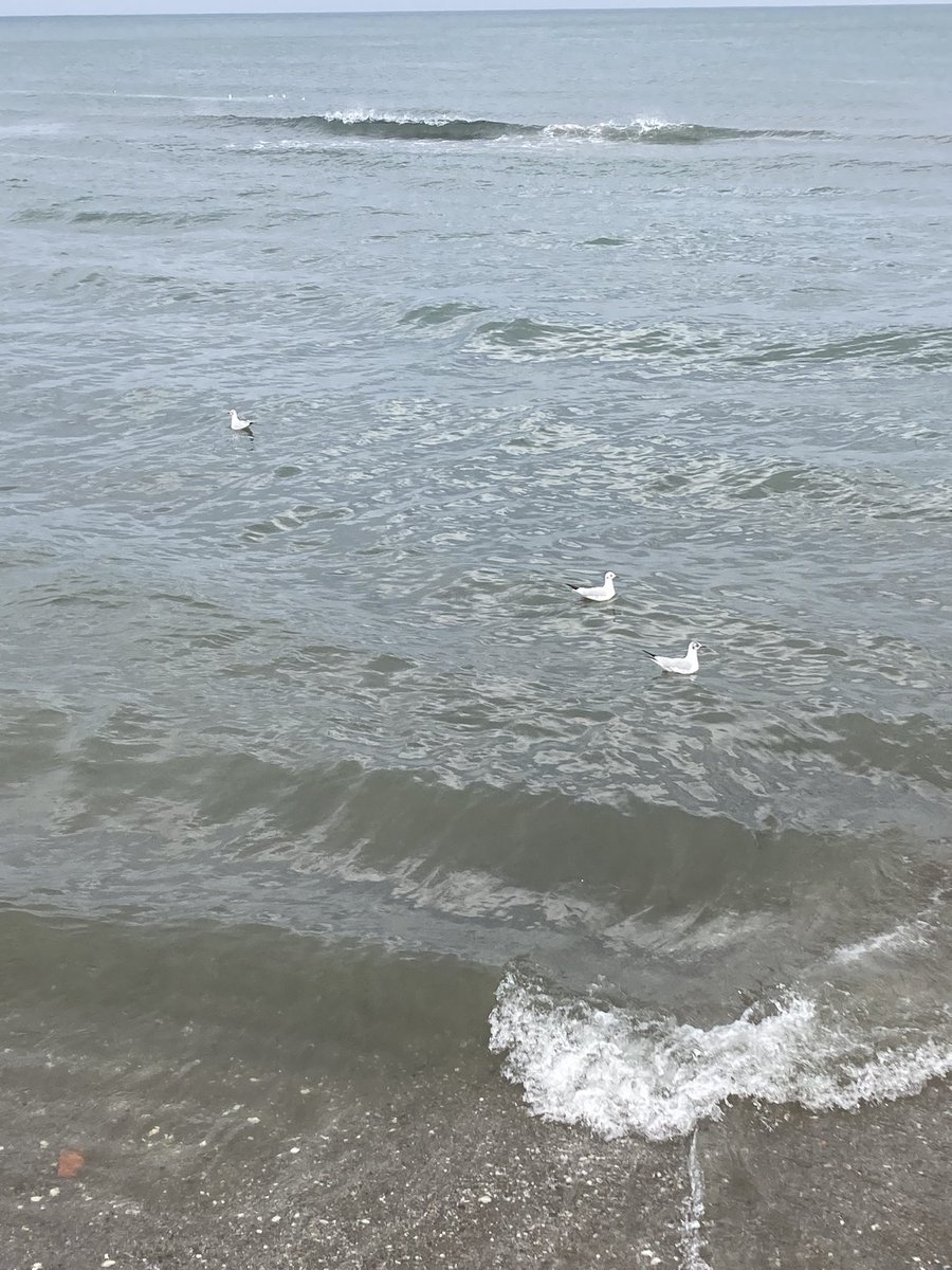 Denize baktığımda dinleniyorum huzur ve mutluluk keyif veriyor